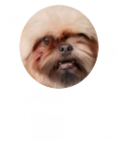 Yowgar